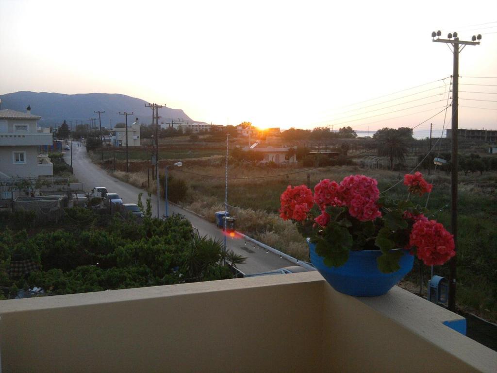 Malia Star Apartments Room photo
